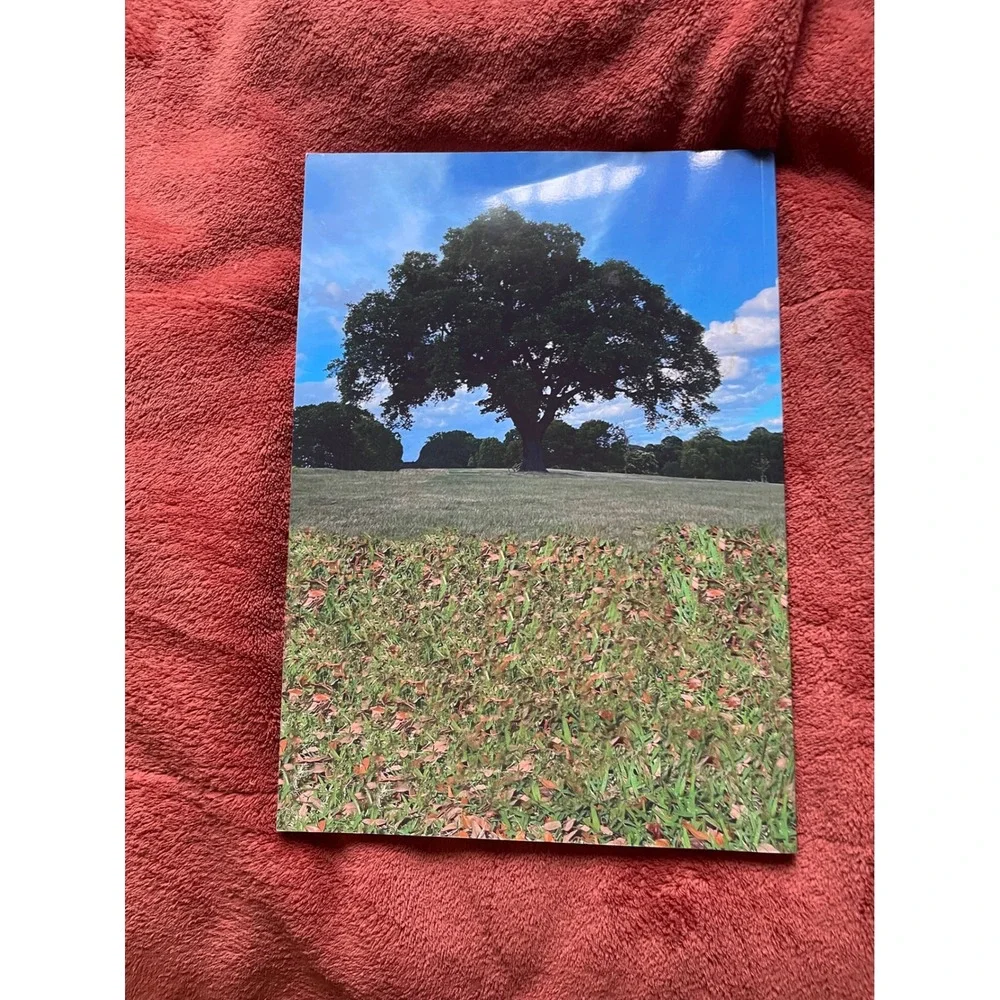 Aesthetic Awareness‎ Magazine Issue 01 Growth Art Photography Collectible